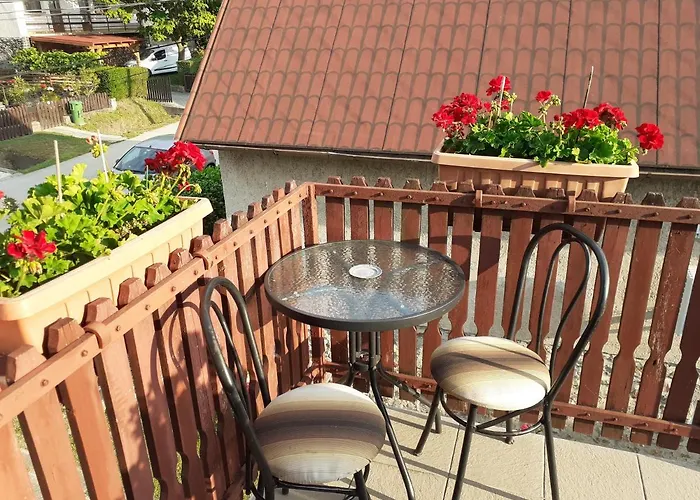 Miklai Haz סיגליגט