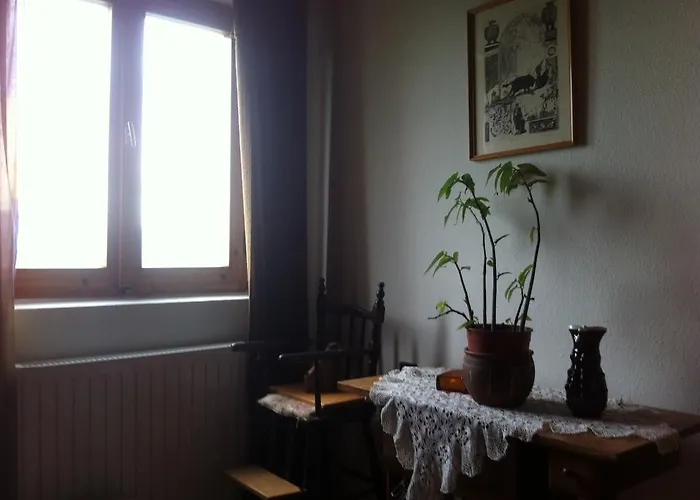 Miklai Haz סיגליגט